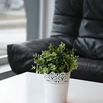 Arcus Premium Hostel Warszawa
