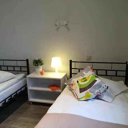 旅馆 艾库斯旅舍 *