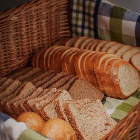 旅馆 艾库斯旅舍 华沙