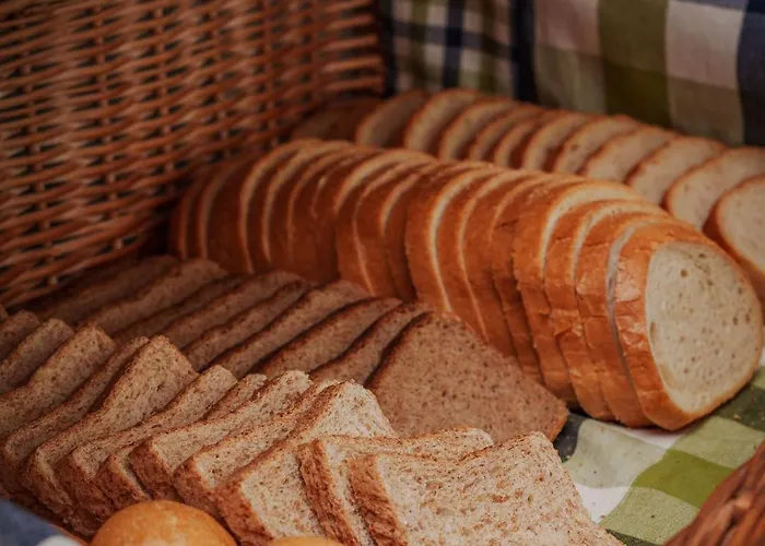 旅馆 艾库斯旅舍 华沙